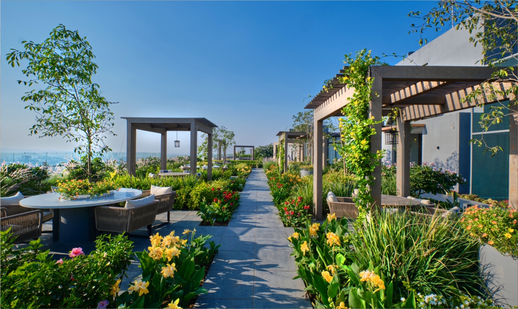 The Ark NIBM, Voyage To The Stars zen-garden-image